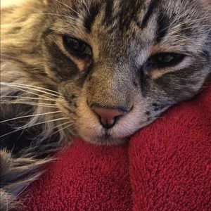 Meet your Posher, Emma